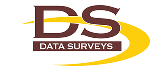 Data Surveys Inc.